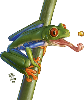 Frog Toucan